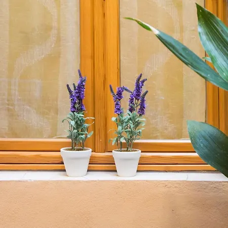 Apartment Charming Fiesolana In Heart Of